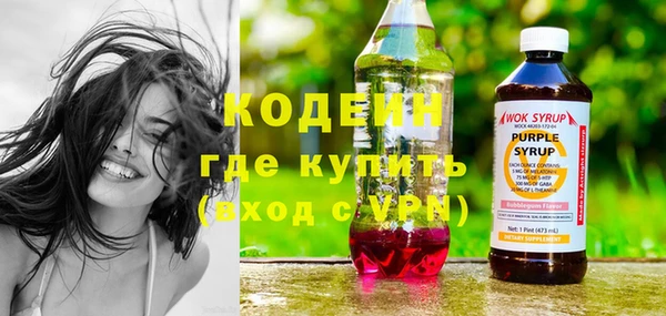 индика Россошь